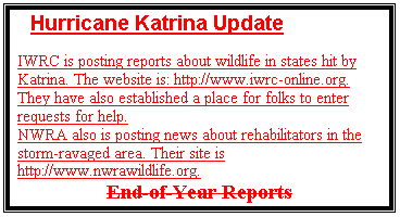 Text Box: Hurricane Katrina Update

IWRC is posting reports about wildlife in states hit by Katrina. The website is: http://www.iwrc-online.org. They have also established a place for folks to enter requests for help.
NWRA also is posting news about rehabilitators in the storm-ravaged area. Their site is http://www.nwrawildlife.org. 

